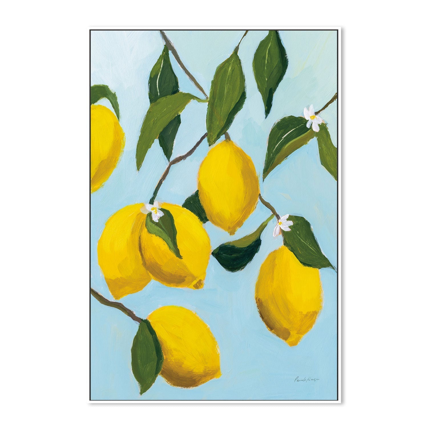 wall-art-print-canvas-poster-framed-Lemon Tree , By Pamela Munger-GIOIA-WALL-ART