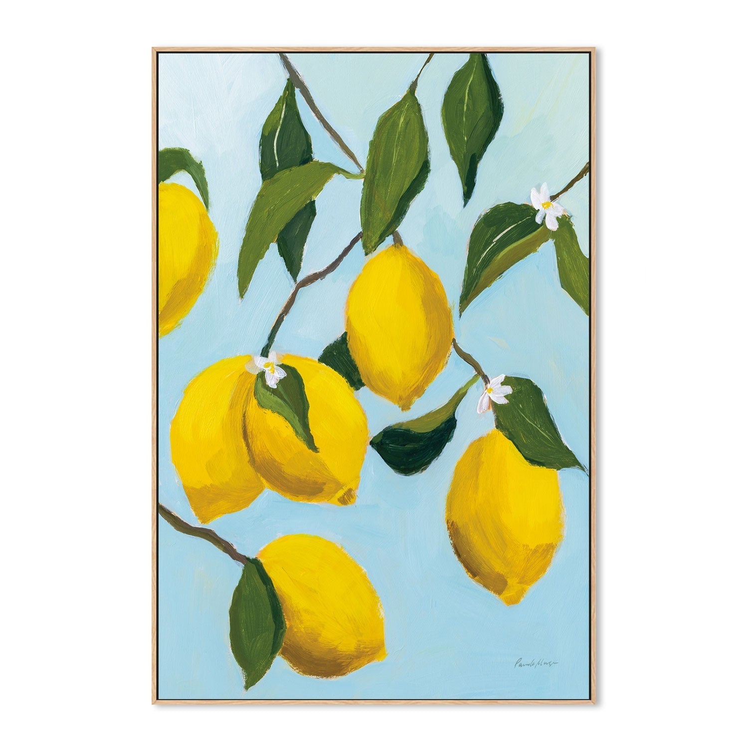wall-art-print-canvas-poster-framed-Lemon Tree , By Pamela Munger-GIOIA-WALL-ART
