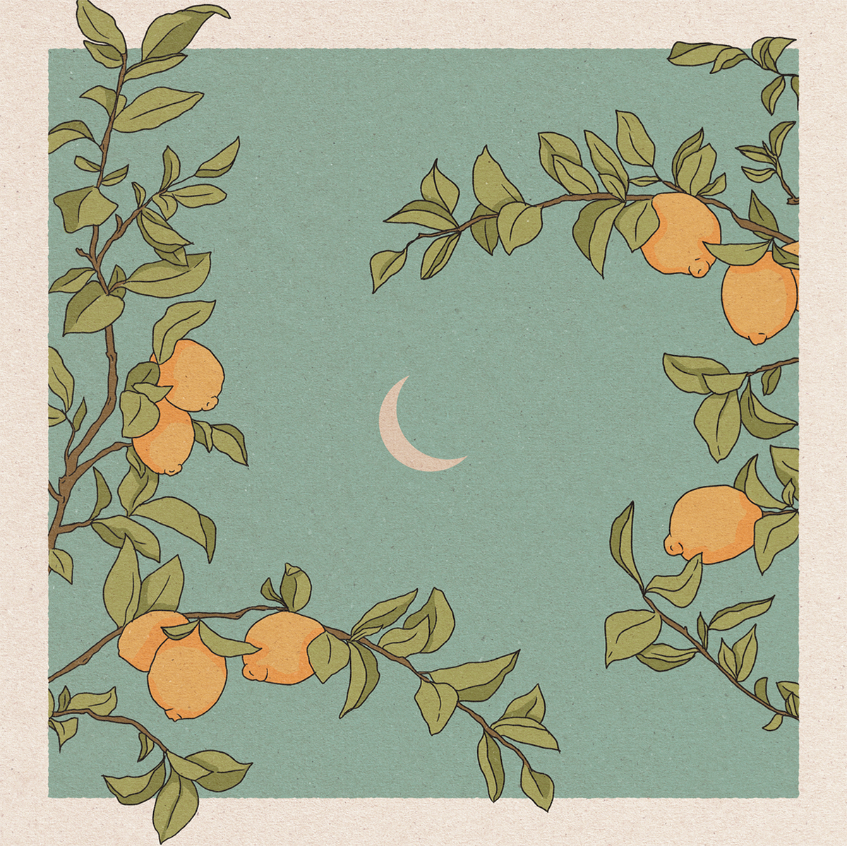 wall-art-print-canvas-poster-framed-Lemon Tree Plant , By Cai & Jo-1
