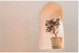 Little olive tree in flower Pot-Gioia-Prints-Framed-Canvas-Poster-GIOIA-WALL-ART