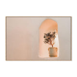 Little olive tree in flower Pot-Gioia-Prints-Framed-Canvas-Poster-GIOIA-WALL-ART