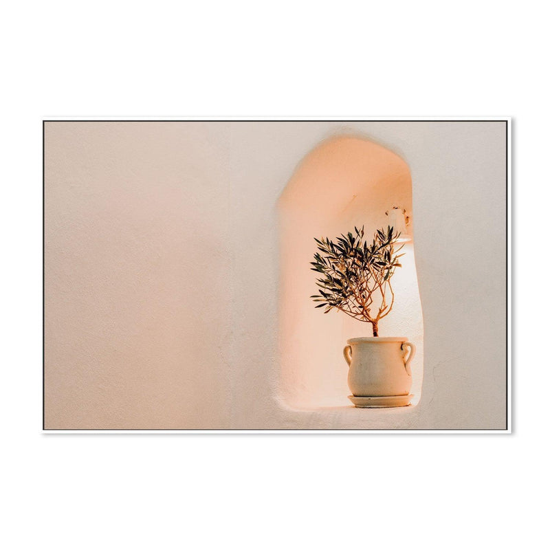 Little olive tree in flower Pot-Gioia-Prints-Framed-Canvas-Poster-GIOIA-WALL-ART