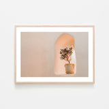 Little olive tree in flower Pot-Gioia-Prints-Framed-Canvas-Poster-GIOIA-WALL-ART