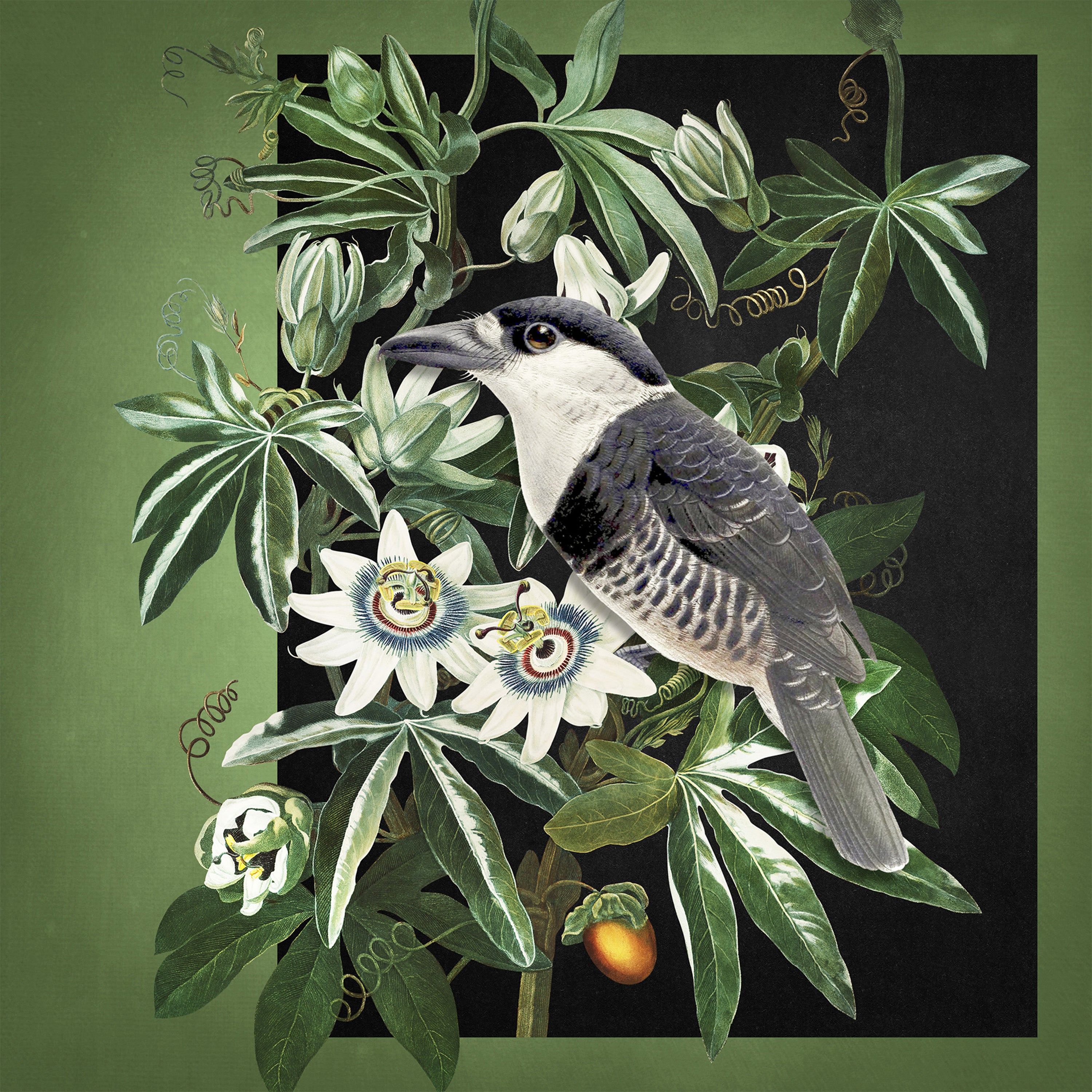 wall-art-print-canvas-poster-framed-Loiseau Et La Passiflore-1