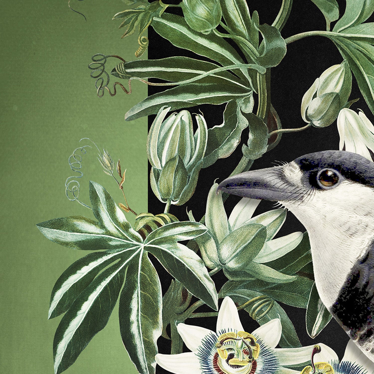 wall-art-print-canvas-poster-framed-Loiseau Et La Passiflore-10