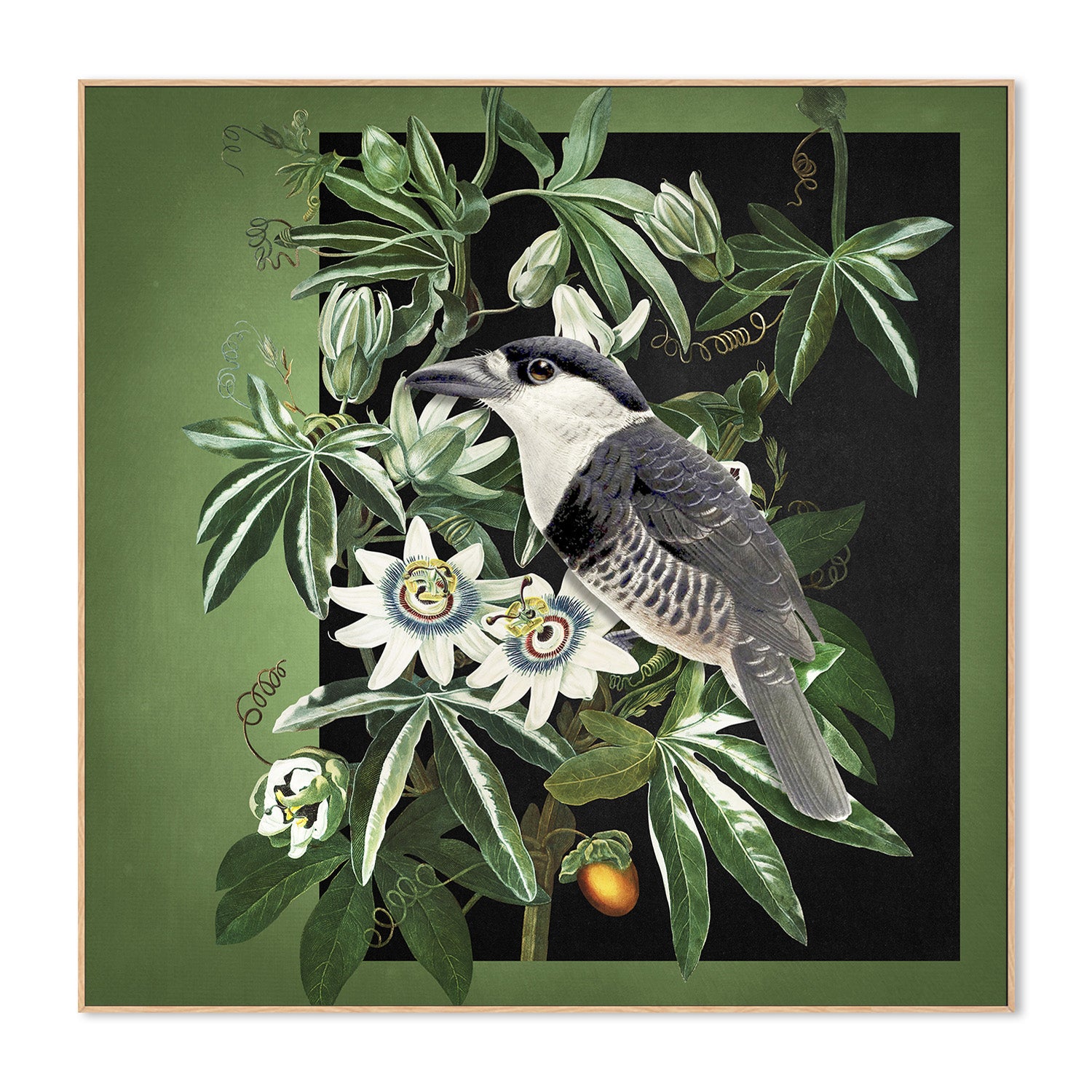wall-art-print-canvas-poster-framed-Loiseau Et La Passiflore-4