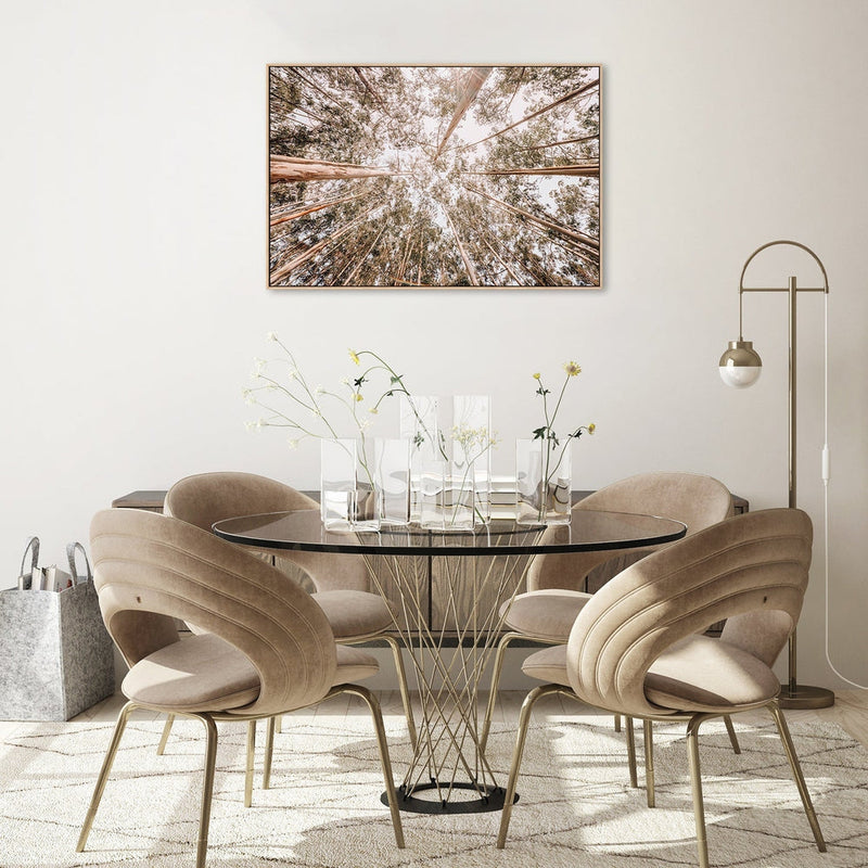 wall-art-print-canvas-poster-framed-Look Up Eucalyptus Forest-by-Gioia Wall Art-Gioia Wall Art