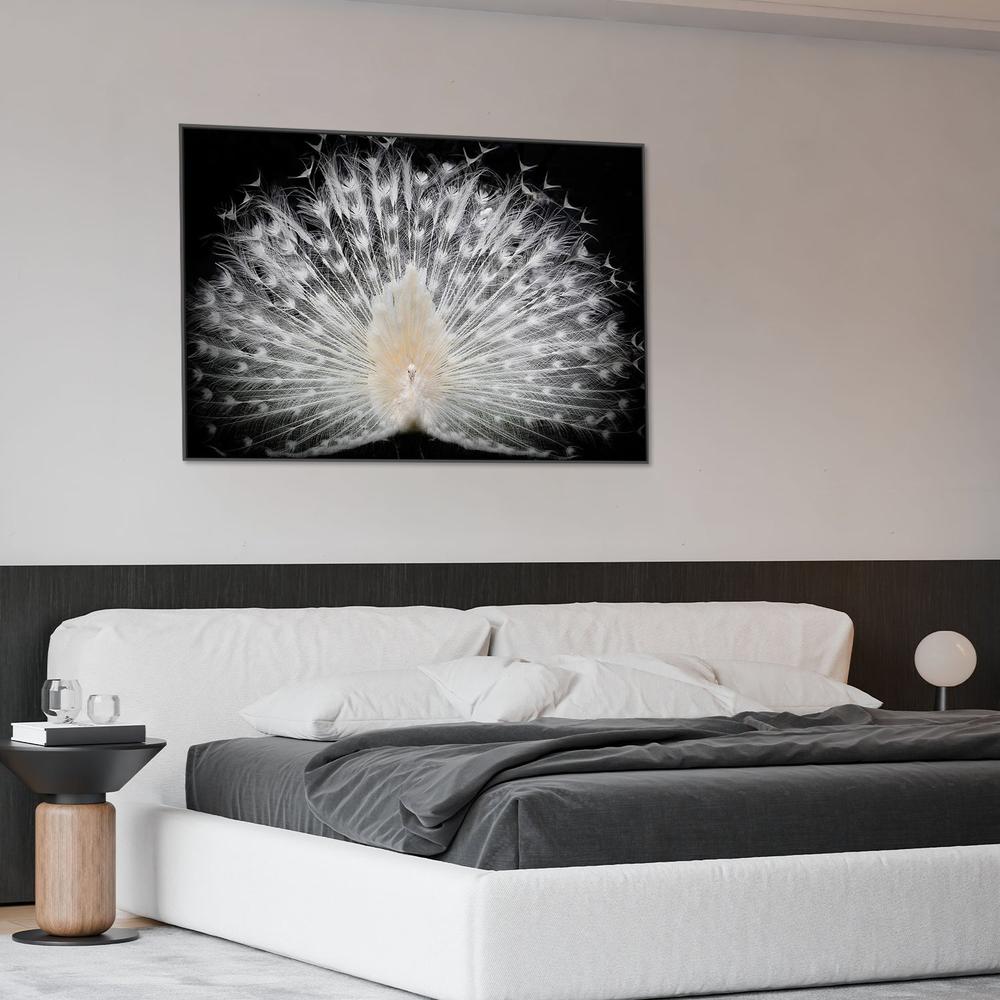wall-art-print-canvas-poster-framed-Majestic White Peacock-9