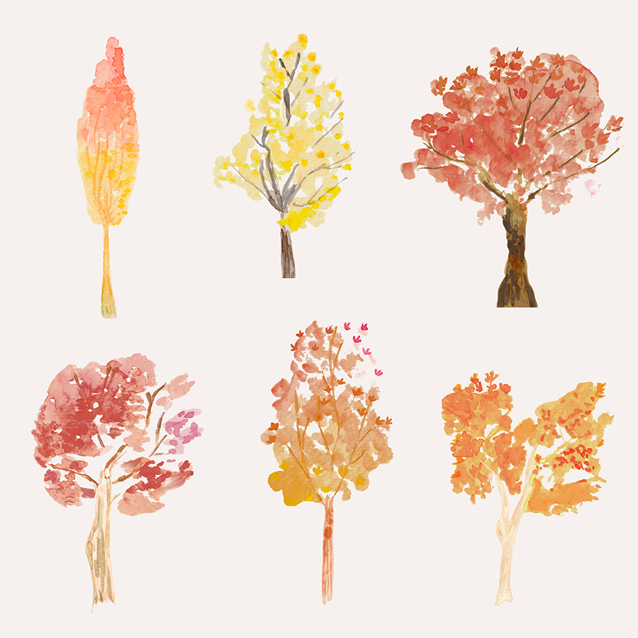 wall-art-print-canvas-poster-framed-Maple Grove-1