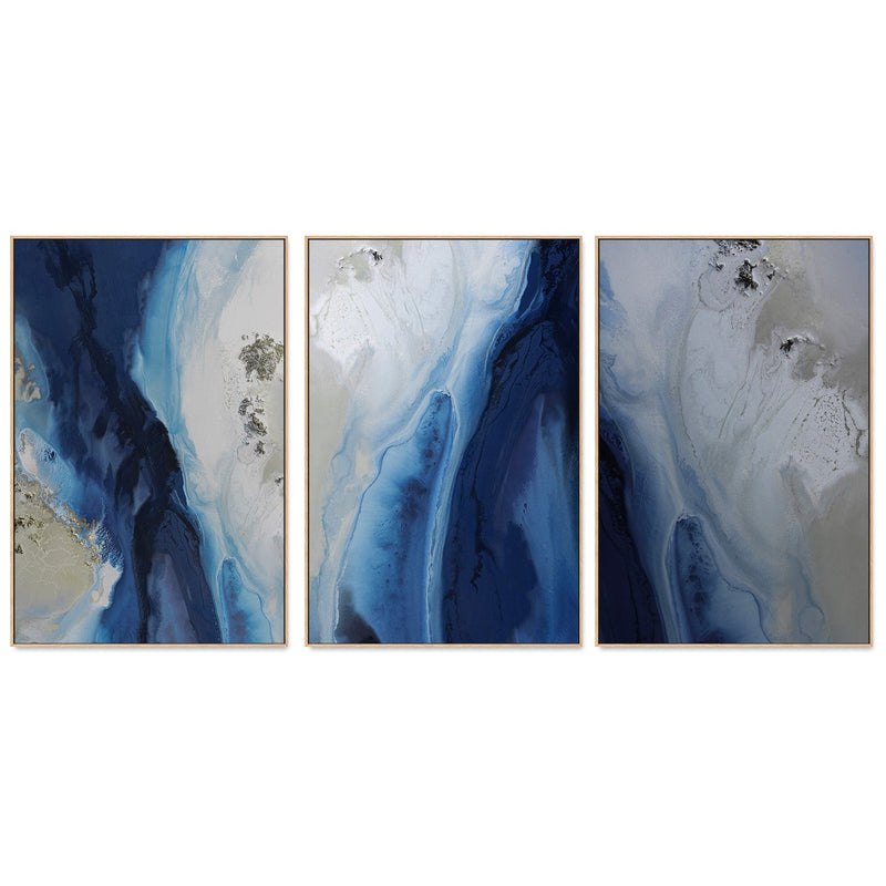 wall-art-print-canvas-poster-framed-Marine Majesty, Style A, B & C, Set Of 3 , By Petra Meikle-4
