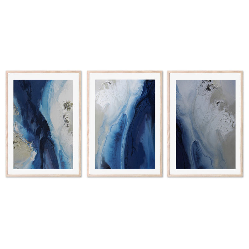 wall-art-print-canvas-poster-framed-Marine Majesty, Style A, B & C, Set Of 3 , By Petra Meikle-6