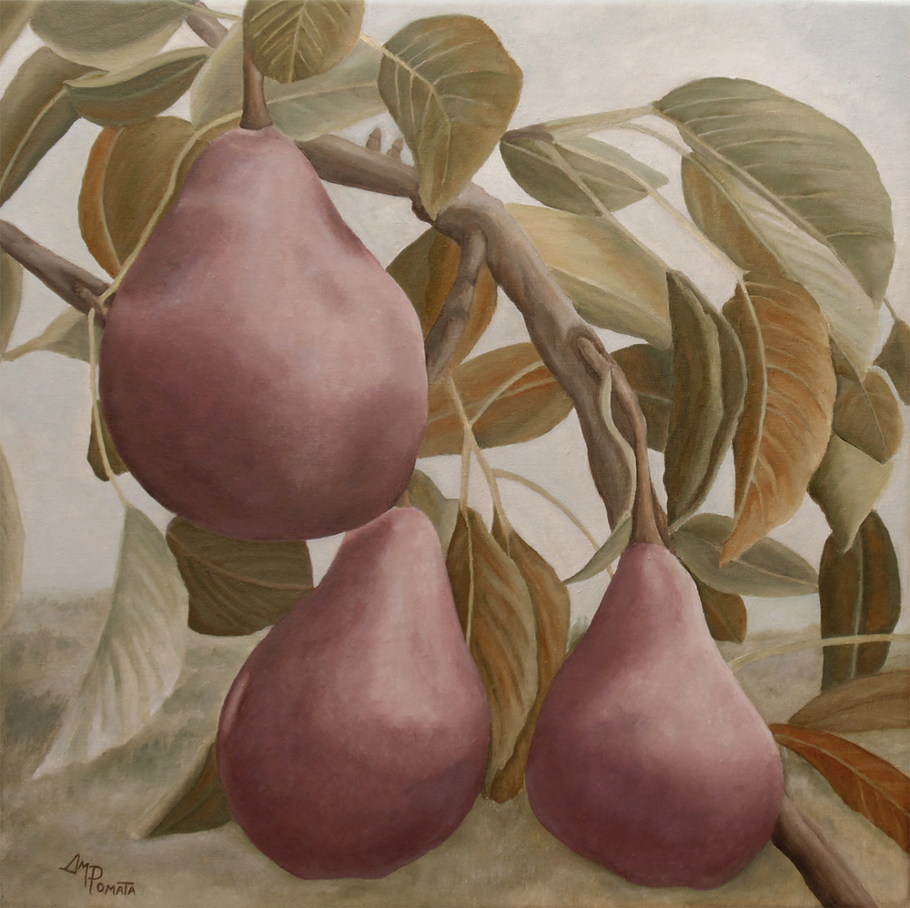 wall-art-print-canvas-poster-framed-Max Red Bartlett Pears , By Pictufy-1
