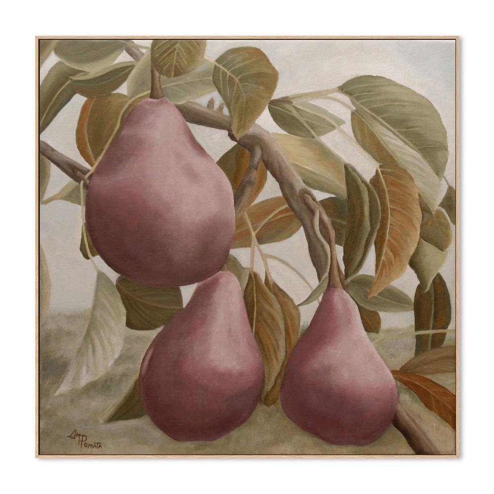 wall-art-print-canvas-poster-framed-Max Red Bartlett Pears , By Pictufy-4
