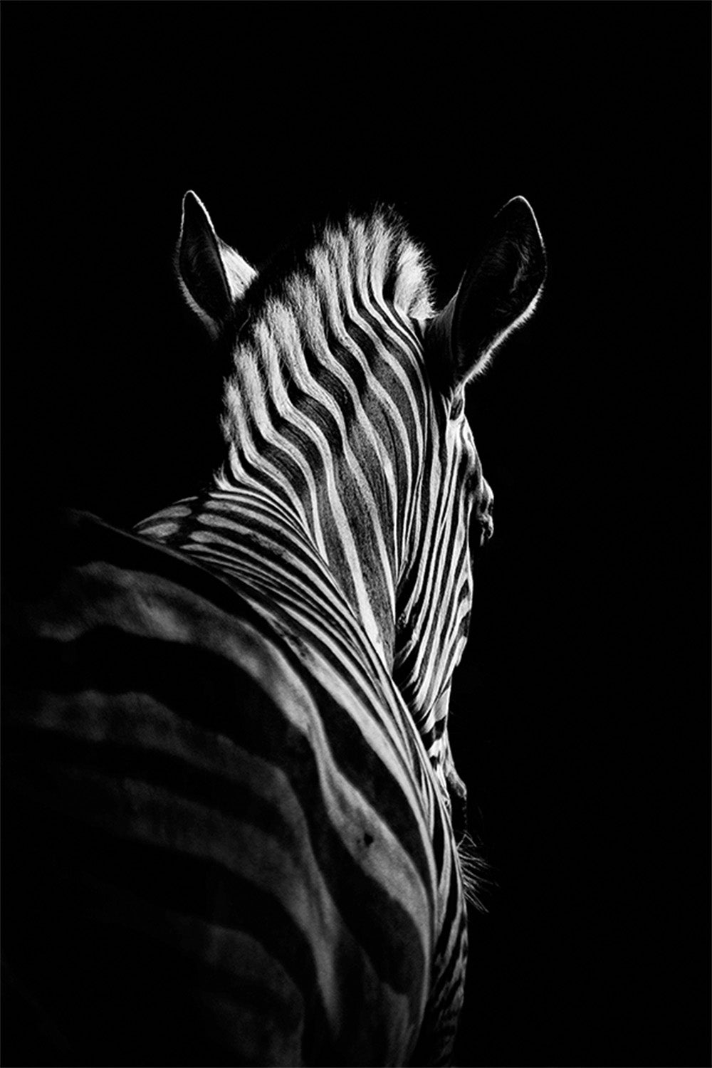 wall-art-print-canvas-poster-framed-Meermann, Stepping Down-1