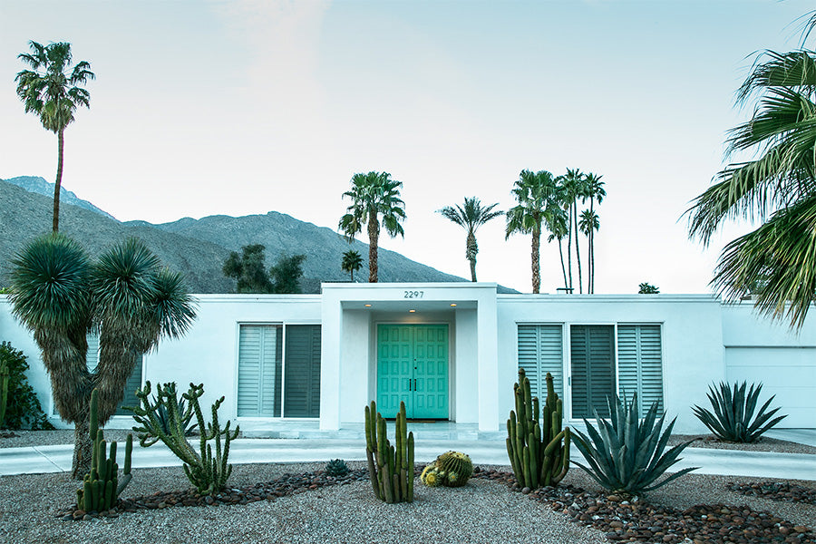 wall-art-print-canvas-poster-framed-Mint Green Door , By Tricia Brennan-1