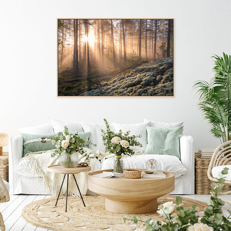 wall-art-print-canvas-poster-framed-Misty Forest , By Christian Lindsten-GIOIA-WALL-ART