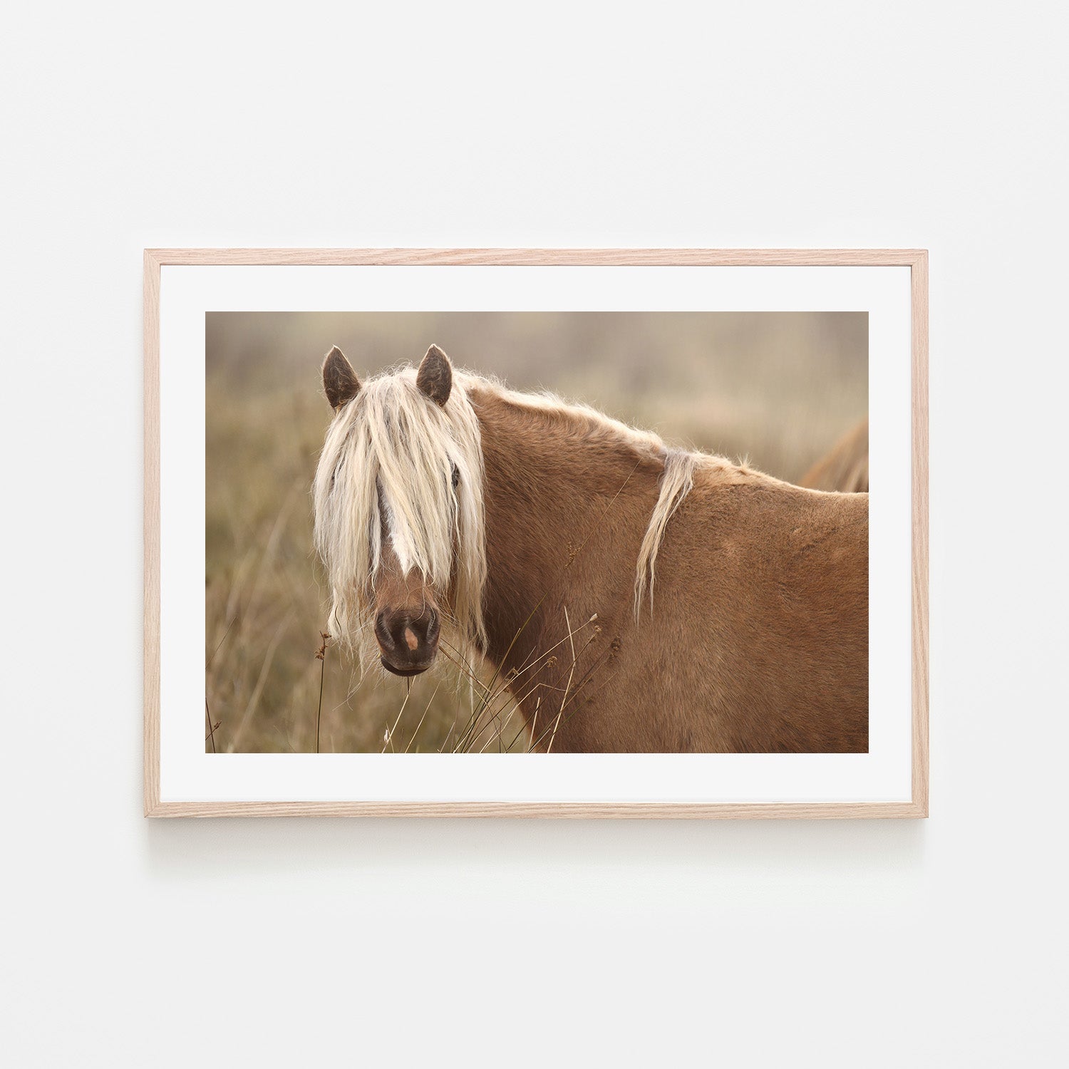 wall-art-print-canvas-poster-framed-Molly, Style A , By Belinda Gerace-6