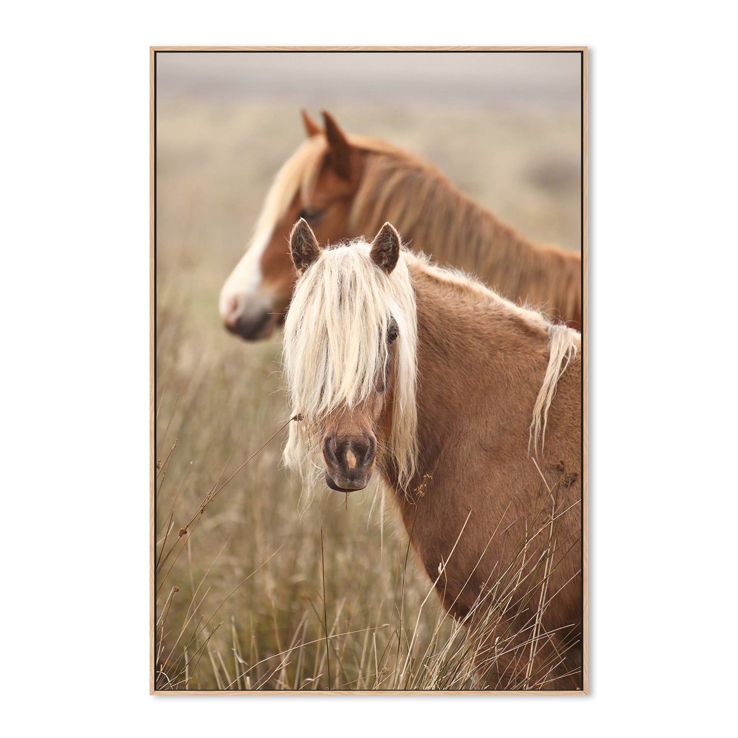wall-art-print-canvas-poster-framed-Molly, Style B , By Belinda Gerace-4