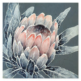 wall-art-print-canvas-poster-framed-Monochrome Protea-by-Ekaterina Prisich-Gioia Wall Art