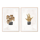 wall-art-print-canvas-poster-framed-Monstera And Snake Plant, Set Of 2 , By Sarah Manovski-GIOIA-WALL-ART