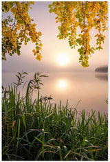 wall-art-print-canvas-poster-framed-Morning Light , By Christian Lindsten-GIOIA-WALL-ART