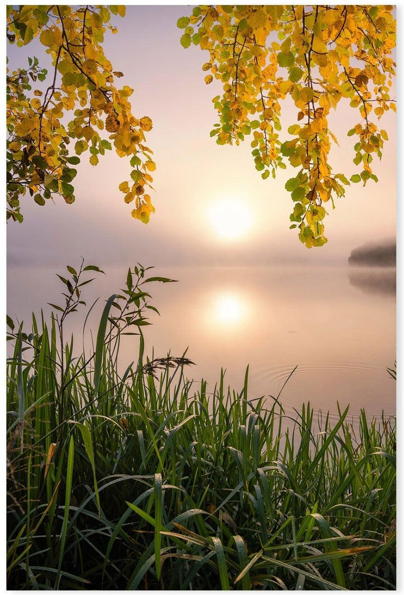 wall-art-print-canvas-poster-framed-Morning Light , By Christian Lindsten-GIOIA-WALL-ART