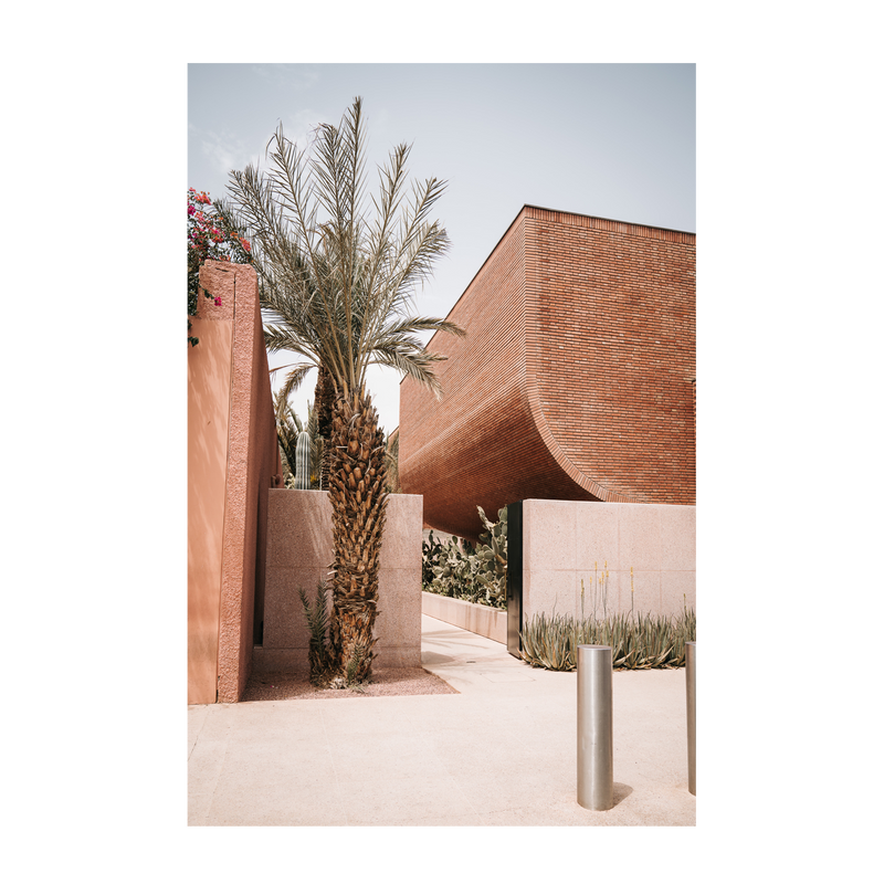 wall-art-print-canvas-poster-framed-Moroccan Palm Tree , By Josh Silver-1