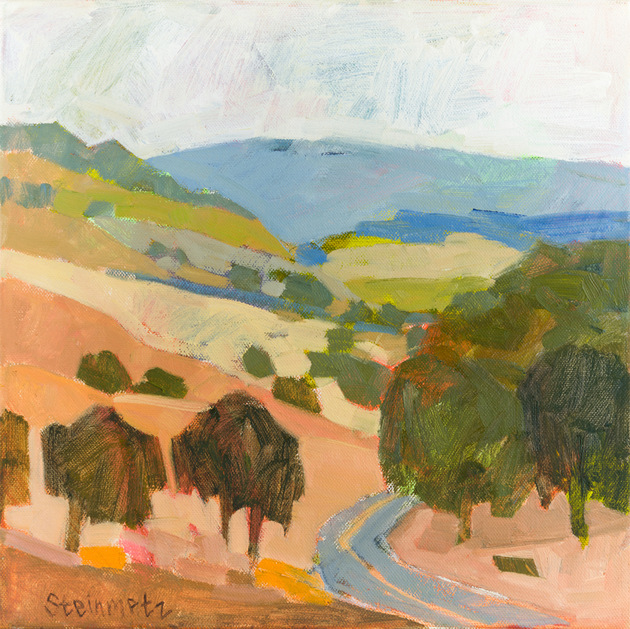 wall-art-print-canvas-poster-framed-Mountain House Road , By Liana Steinmetz-1