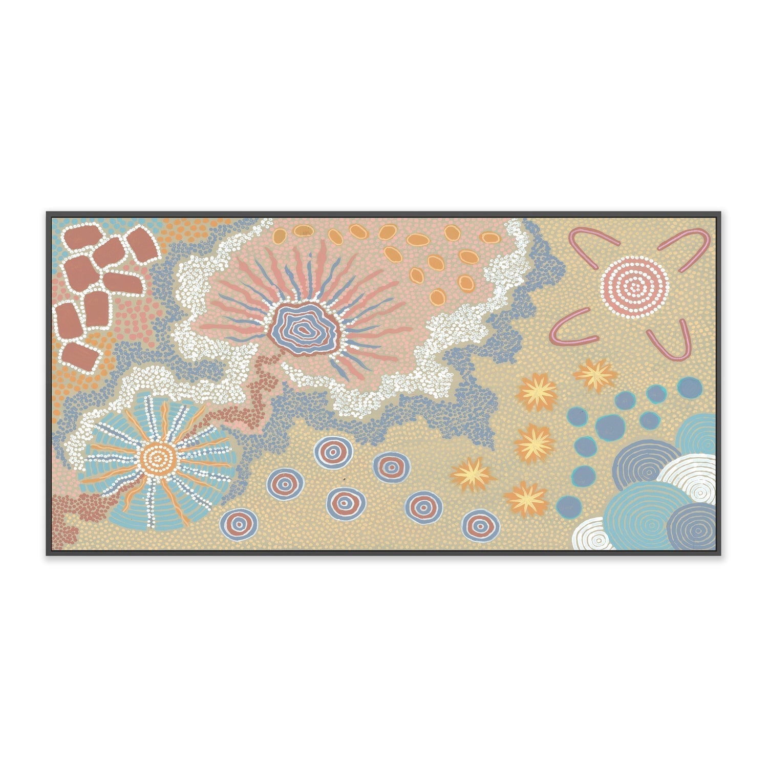 wall-art-print-canvas-poster-framed-My Country-by-Danny Tjampitjinpa Possum-Gioia Wall Art
