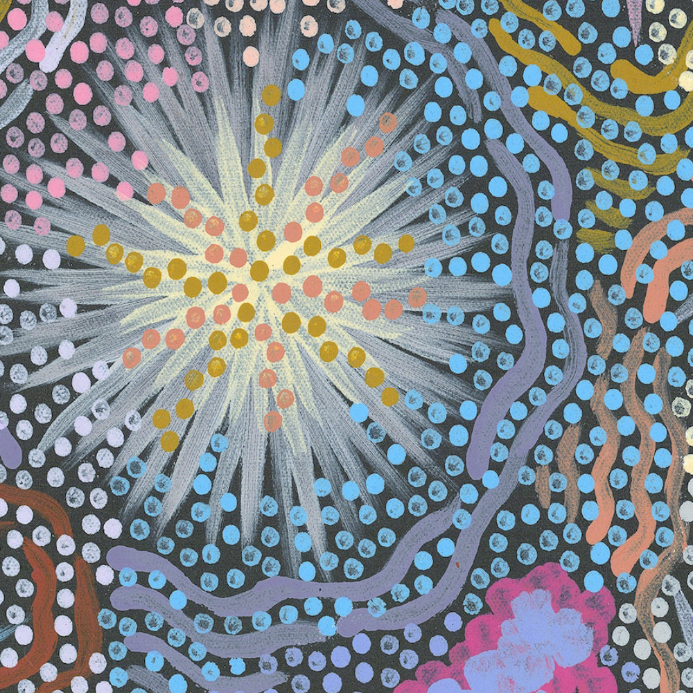 My Great Grandmothers Land Style D Original Colour By Azeza Possum Aboriginal Painting Print