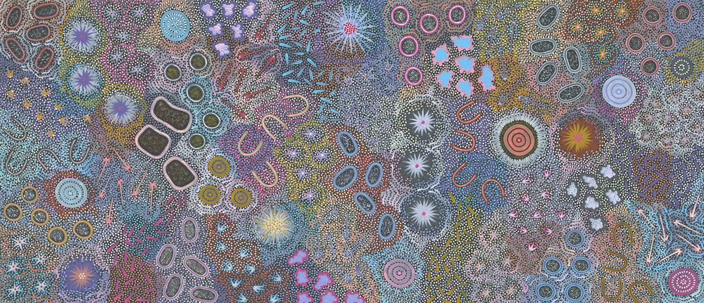 My Great Grandmothers Land Style D Original Colour By Azeza Possum Aboriginal Painting Print