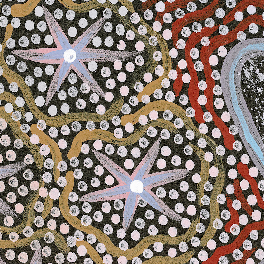 My Great Grandmothers Land Style D Rusty Red Tone By Azeza Possum Aboriginal Painting Print