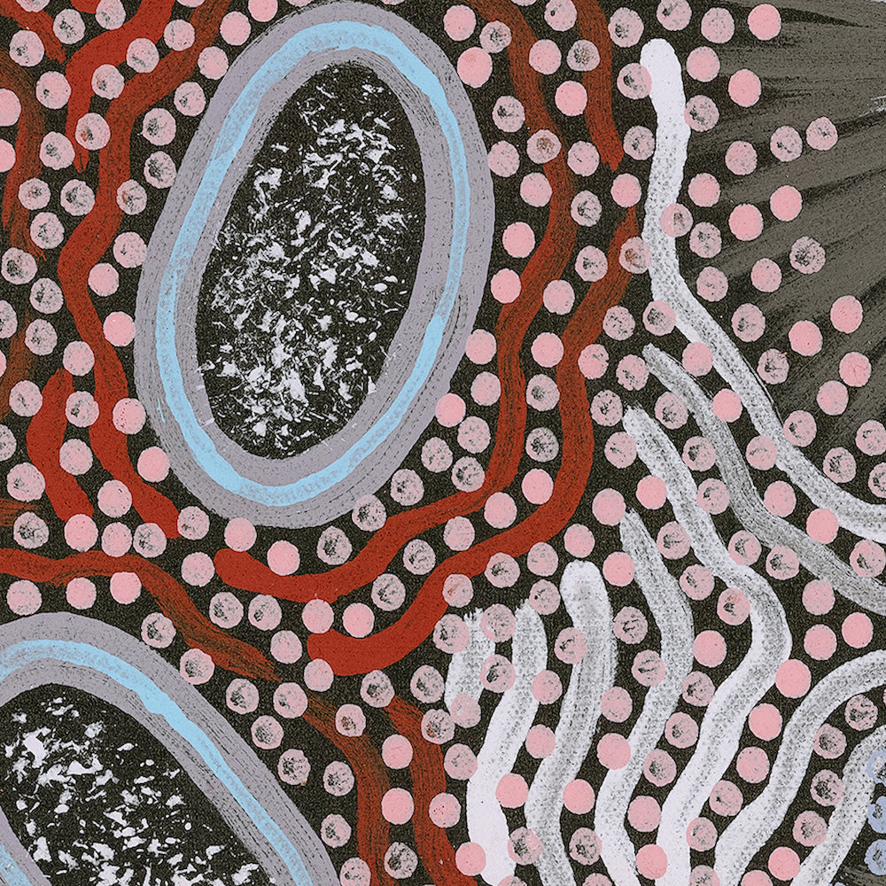 My Great Grandmothers Land Style D Rusty Red Tone By Azeza Possum Aboriginal Painting Print