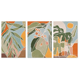 wall-art-print-canvas-poster-framed-Native Botanics, Style A, Set Of 3-by-Junia Kall-Gioia Wall Art