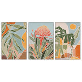 wall-art-print-canvas-poster-framed-Native Botanics, Style B, Set Of 3-by-Junia Kall-Gioia Wall Art