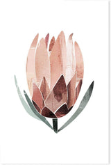 wall-art-print-canvas-poster-framed-Native Protea-by-Dear Musketeer Studio-Gioia Wall Art