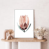 wall-art-print-canvas-poster-framed-Native Protea-by-Dear Musketeer Studio-Gioia Wall Art