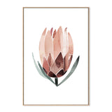wall-art-print-canvas-poster-framed-Native Protea-by-Dear Musketeer Studio-Gioia Wall Art