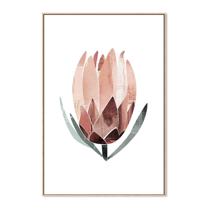 wall-art-print-canvas-poster-framed-Native Protea-by-Dear Musketeer Studio-Gioia Wall Art