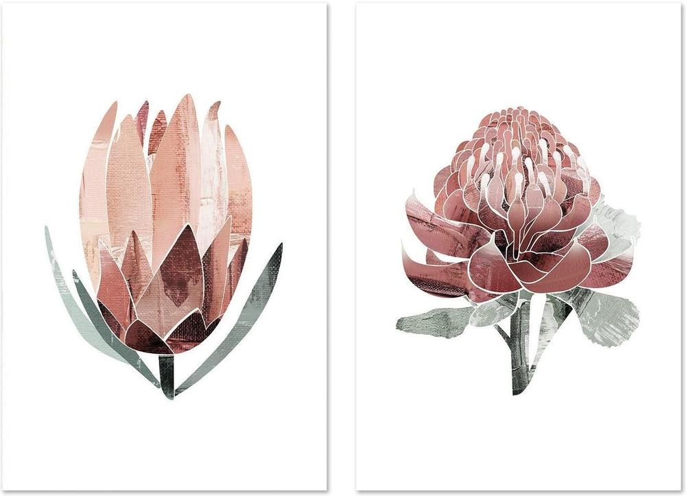 wall-art-print-canvas-poster-framed-Native Protea & Waratah Pair-by-Dear Musketeer Studio-Gioia Wall Art