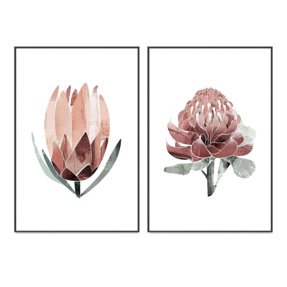 wall-art-print-canvas-poster-framed-Native Protea & Waratah Pair-by-Dear Musketeer Studio-Gioia Wall Art