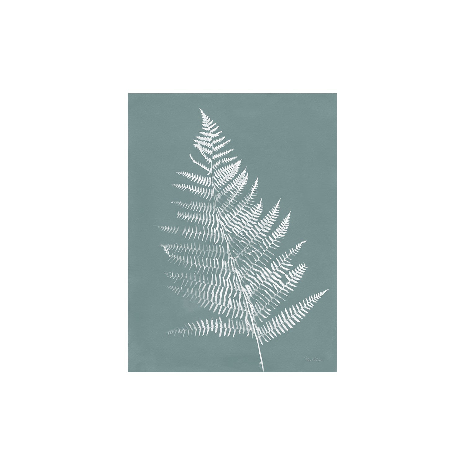 Nature By The Lake Ferns VI , By Piper Rhue Wall Art Print Framed
