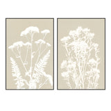 wall-art-print-canvas-poster-framed-Neutral Alpine Flowers, Style A & B, Set Of 2 , By Kathy Ferguson-GIOIA-WALL-ART