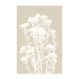 Neutral Alpine Flowers, Style B , By Kathy Ferguson