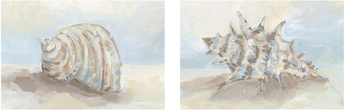 wall-art-print-canvas-poster-framed-Neutral Coastal Seashell , Style A & B, Set Of 2 , By Jetty Home-1