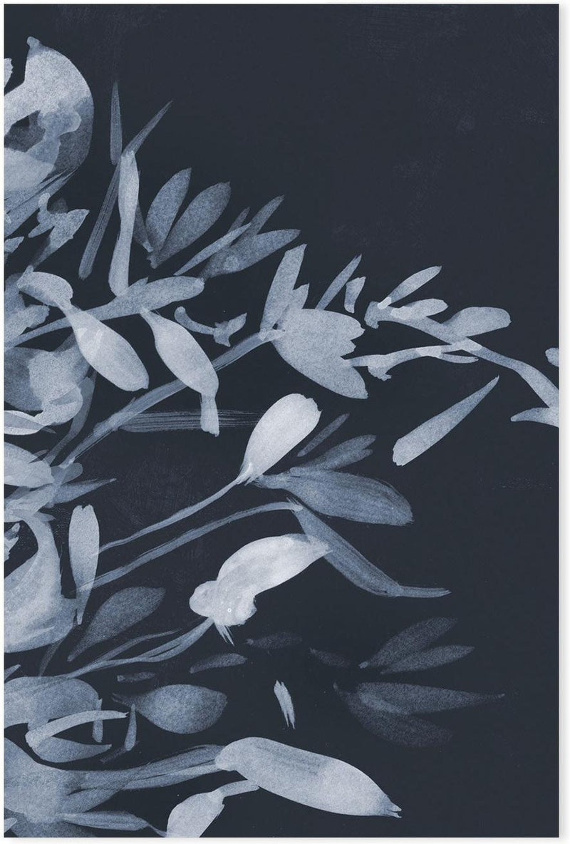 wall-art-print-canvas-poster-framed-Night Blooms, Style A , By Dan Hobday-GIOIA-WALL-ART