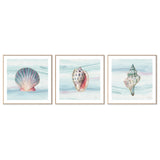 wall-art-print-canvas-poster-framed-Ocean Dream, Style B, C & D, Set Of 3 , By Lisa Audit-GIOIA-WALL-ART