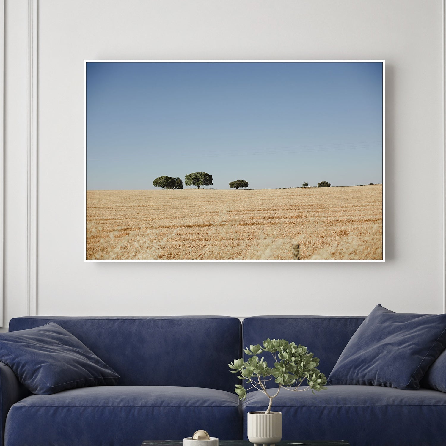 wall-art-print-canvas-poster-framed-Olive Tree Portugal , By Hello Twiggs-2