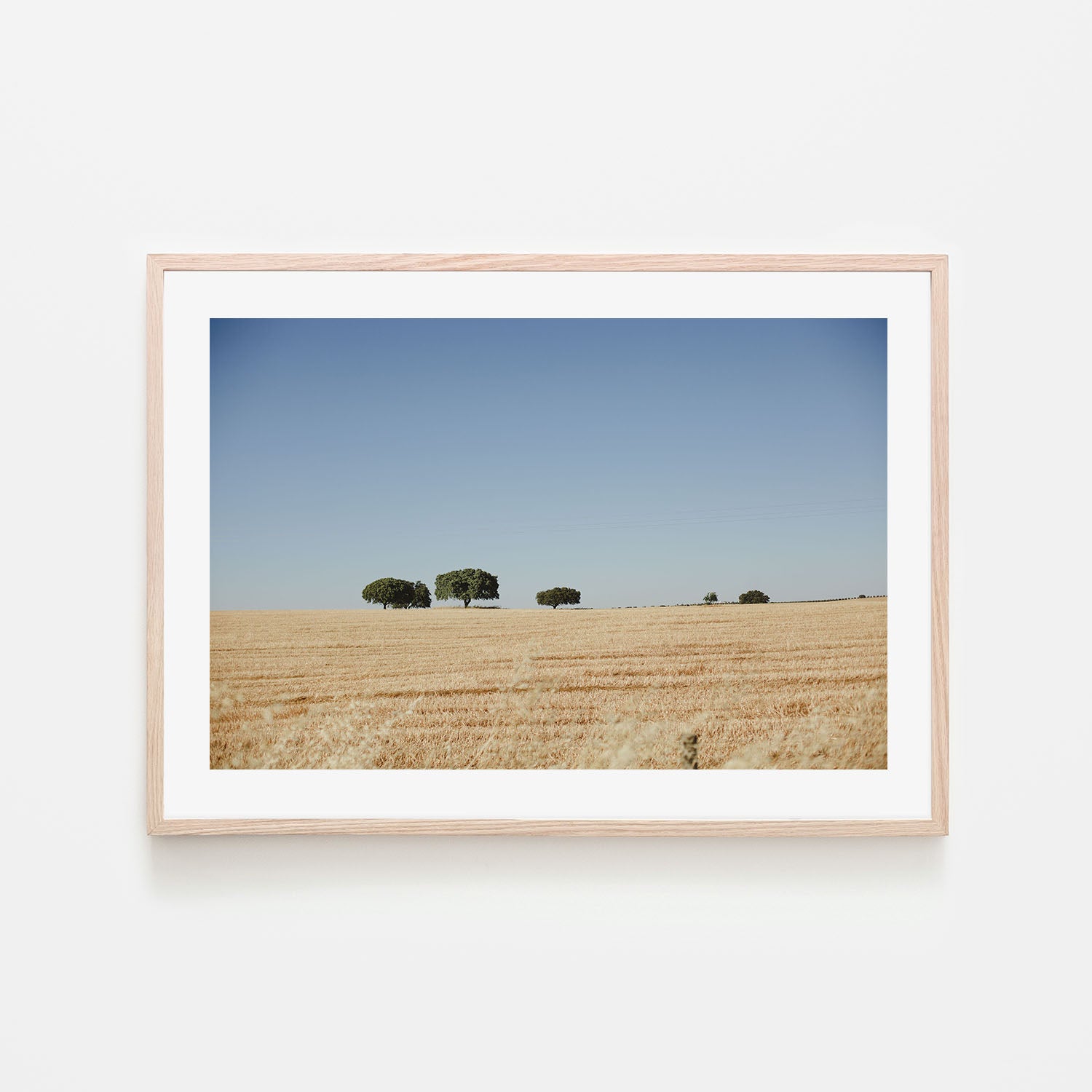 wall-art-print-canvas-poster-framed-Olive Tree Portugal , By Hello Twiggs-6