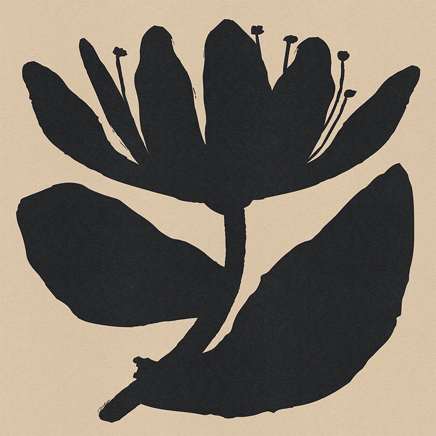 wall-art-print-canvas-poster-framed-Open Black Flower On Beige-1